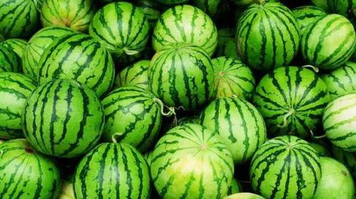 吃瓜被网爆,揭秘网络时代的“瓜农”生活