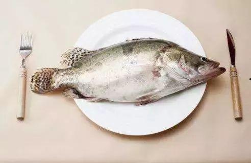 网红吃八瓜鱼是真的吗,真相还是炒作？