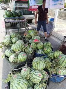 利川网红吃瓜事件视频